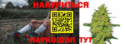 сатива Комсомольск-на-Амуре