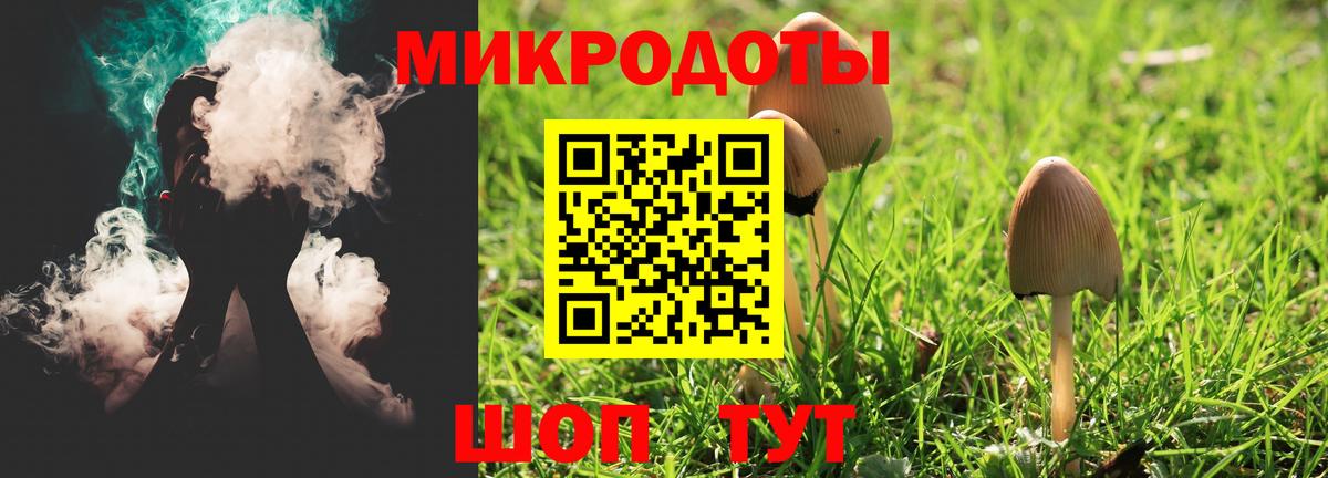 Коряжма  Псилоцибиновые грибы GOLDEN TEACHER  купить наркотики сайты  Вход с VPN 