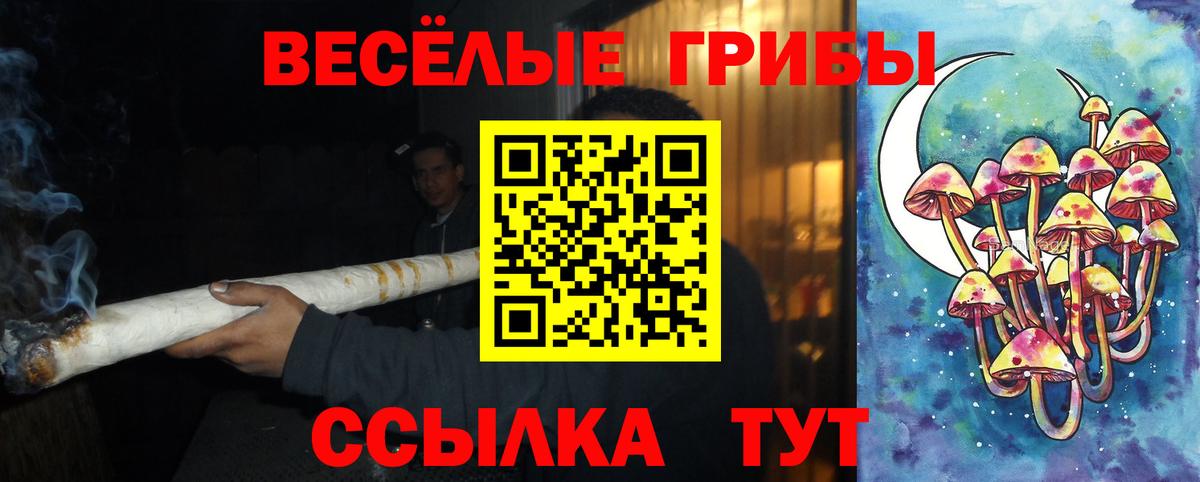 ТГК Коряжма